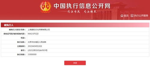 天降“凈網(wǎng)”風(fēng)波中的3.3億元懸疑 鄭愷公司被執(zhí)行警示文化產(chǎn)業(yè)誠信底線