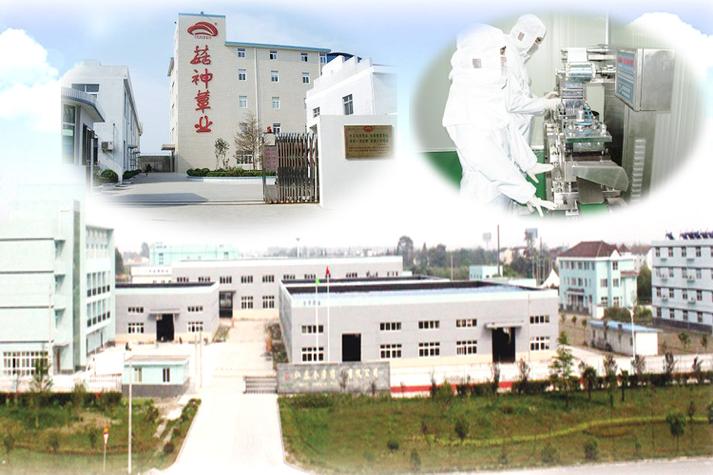 8億藍圖下的小菌種，大產業——探秘5000萬注冊資金深耕食藥用菌全鏈條