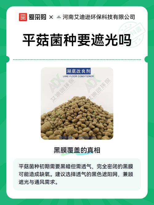 黑膜覆蓋的真相 平菇菌種培育中到底需不需要黑膜？