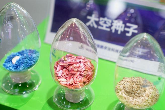 已完成40多次航天育種搭載實驗,先后利用各類航天器搭載植物種子,菌種